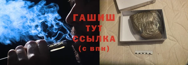 прущие грибы Аркадак