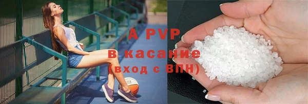 прущие грибы Аркадак