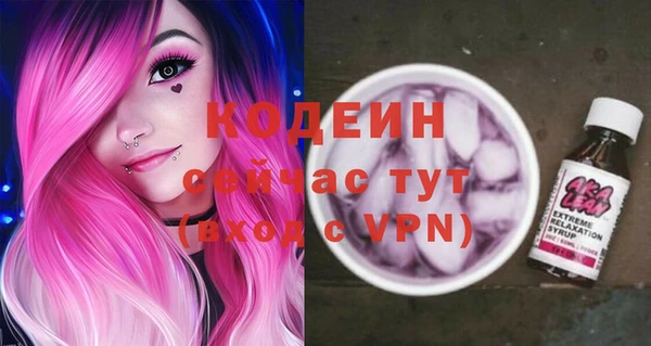 гашик Пересвет