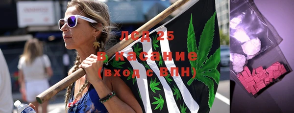 прущие грибы Аркадак
