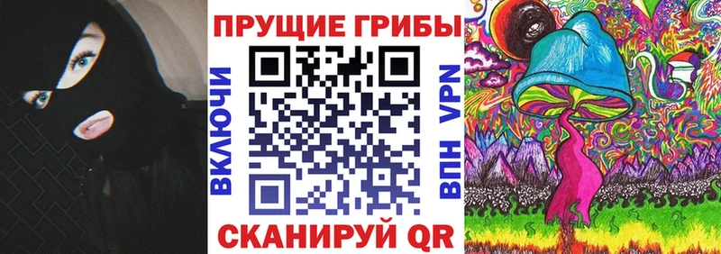 наркотики  Мышкин  Псилоцибиновые грибы Psilocybine cubensis 